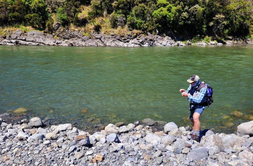 North Canterbury Weekly Fishing Report - 20th February 2025