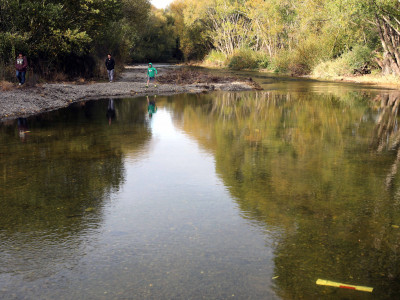 FGNZ NC WaimakSalvage005