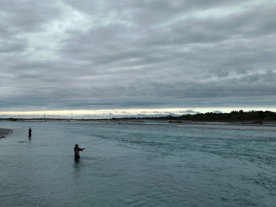 20250109 Salmon3