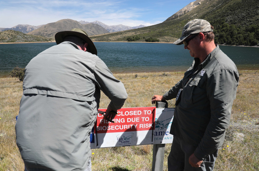 North Canterbury Weekly Fishing Report 8-12-17
