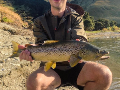 Caleb Hawea Brown Trout