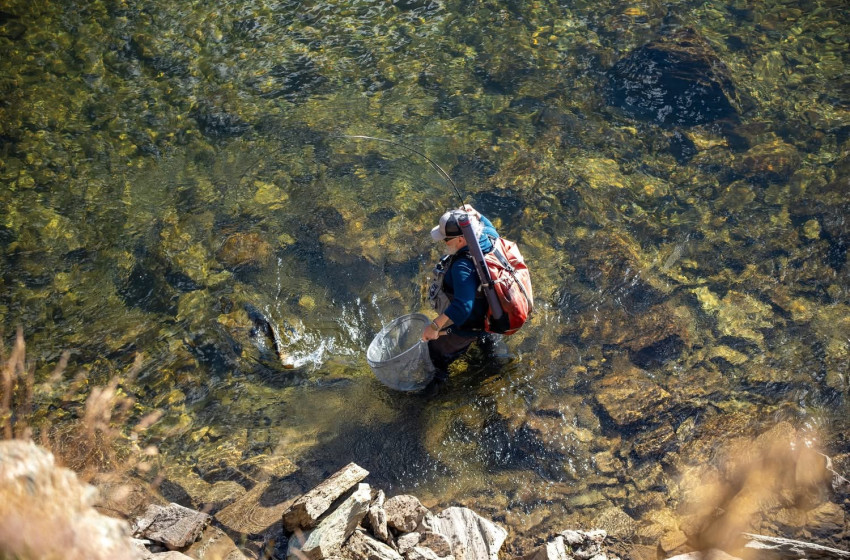 Otago Weekly Fishing Report - 19 February 2026