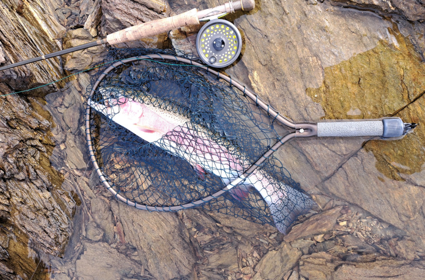 Otago Weekly Fishing Report - 21 March 2024