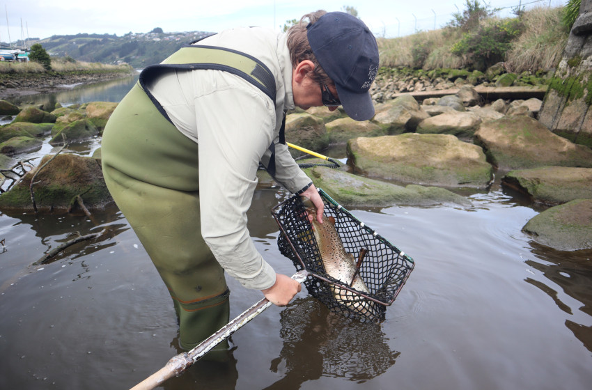 Otago Weekly Fishing Report - 3 April 2025