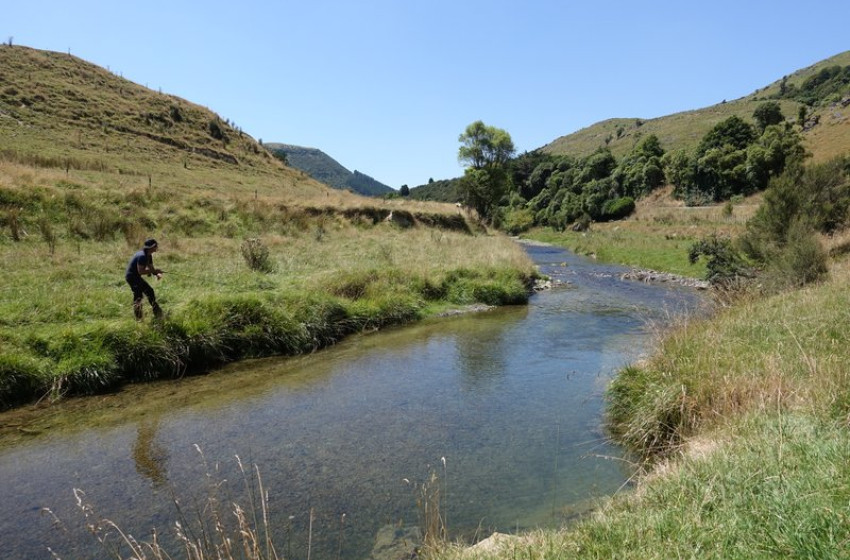 Weekly Fishing Report -  01 February 2018
