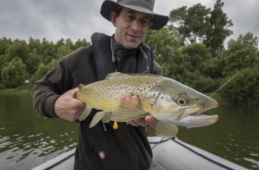 Weekly Fishing Report -  11 October 2018