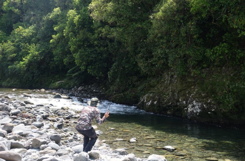 Weekly Fishing Report - 14 December 2017