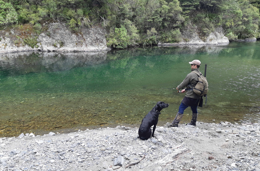 Weekly Fishing Report - 14th February  2019