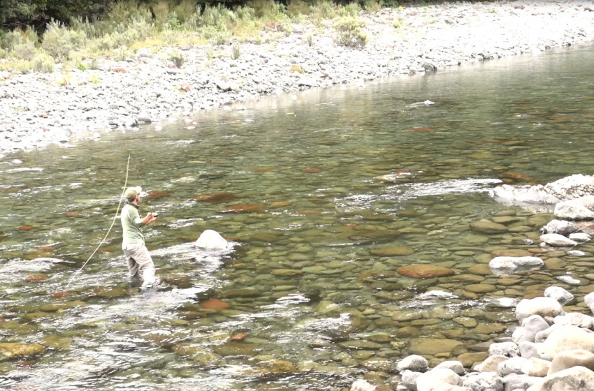 Weekly Fishing Report -  15 February 2018