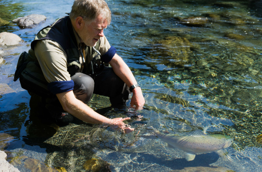 Weekly Fishing Report -  27 September 2018
