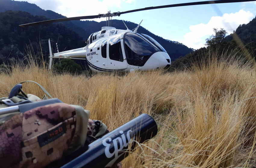 Weekly Fishing Report - 31st January 2019