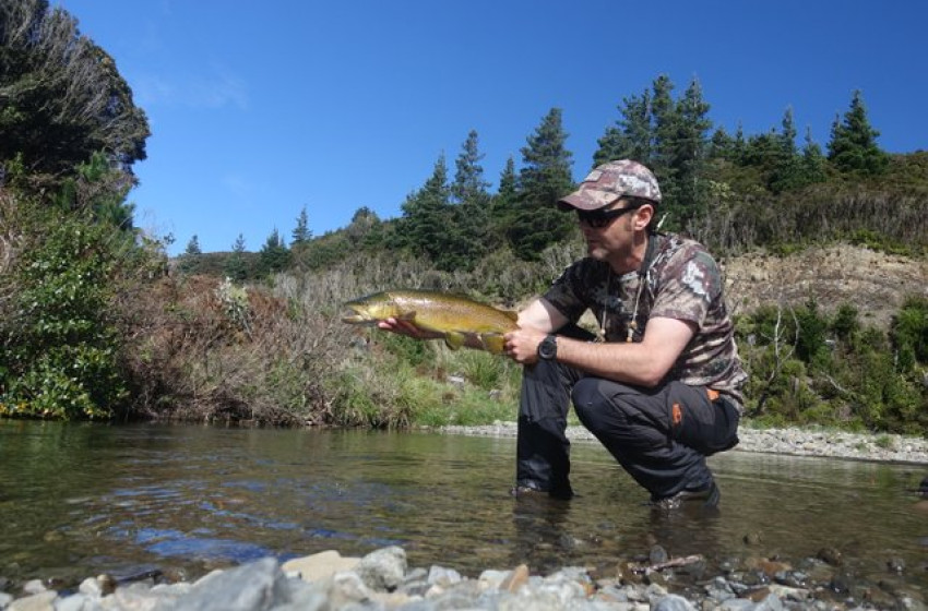 Weekly Fishing Report - 5 October 2017