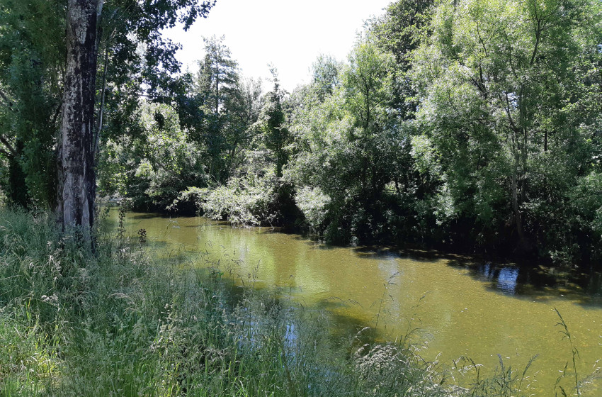 Weekly Fishing Report - 6th December 2018