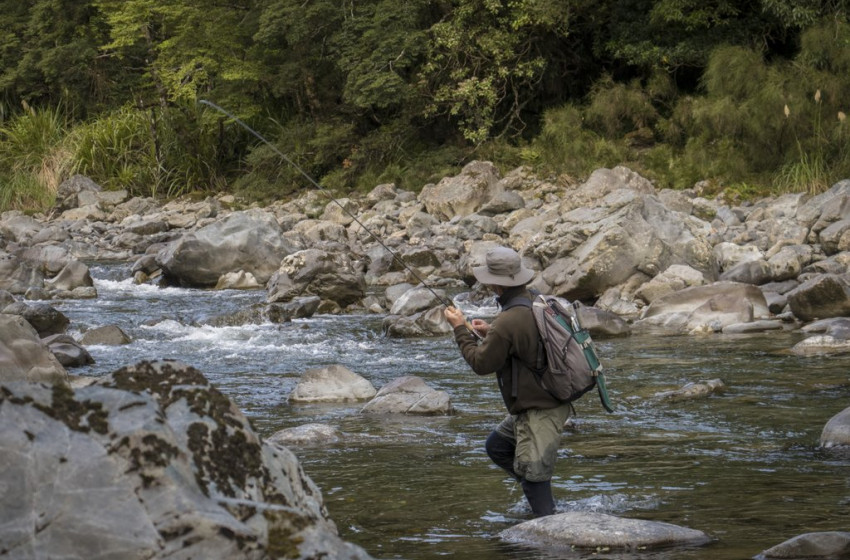 Weekly Fishing Report - 7 December 2017