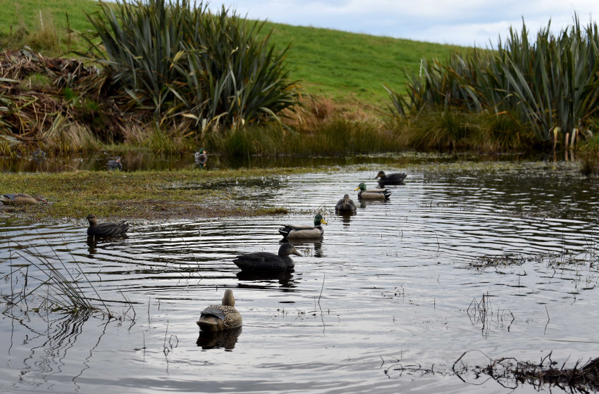 Southland Both Barrels June 2018
