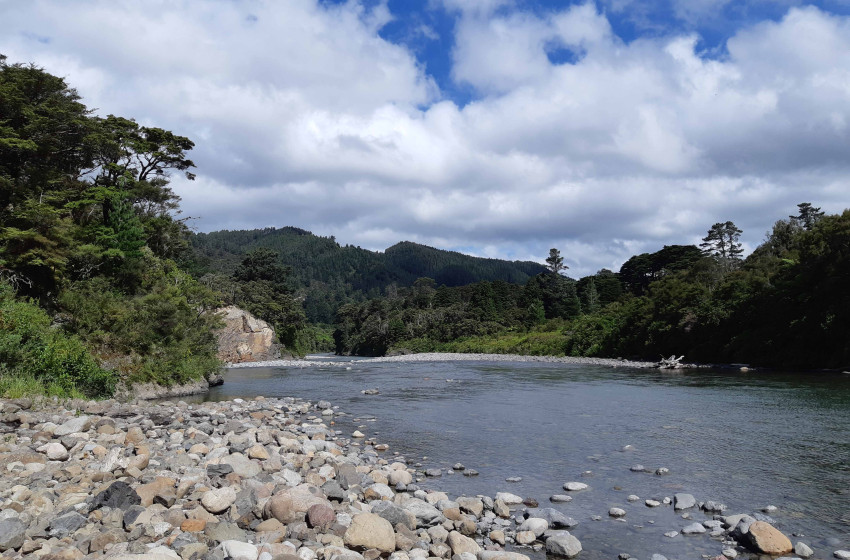 Weekly Fishing Report -  8th November 2018