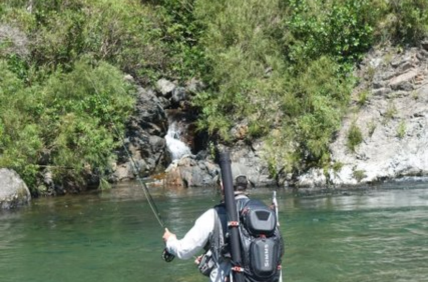 Weekly Fishing Report - 9 November 2017