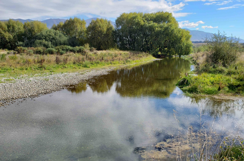 Weekly Fishing Report – Central South Island - 01-04-2021