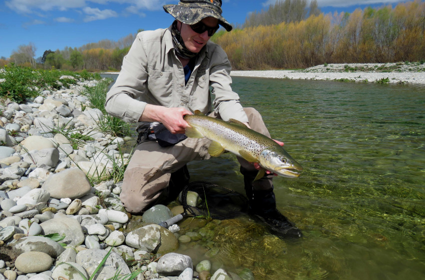 Weekly Fishing Report – Central South Island - 05-12-19