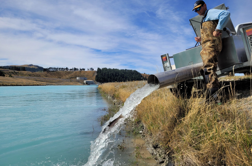 Weekly Fishing Report — Central South Island — 10/03/2022