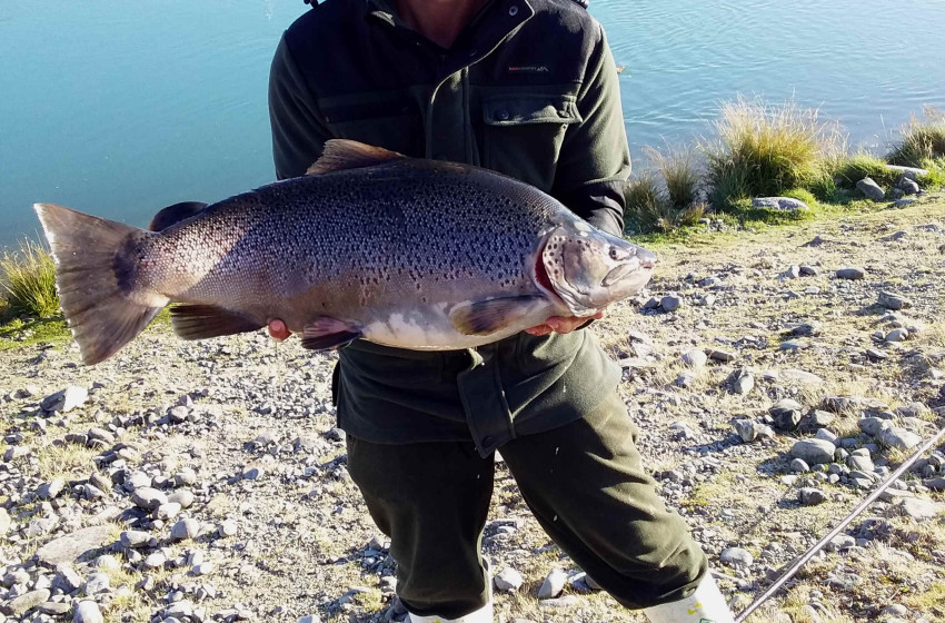 Weekly Fishing Report – Central South Island - 12-03-2020