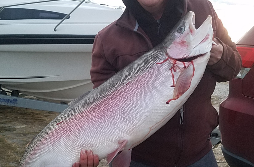 Weekly Fishing Report – Central South Island - 17-12-2020