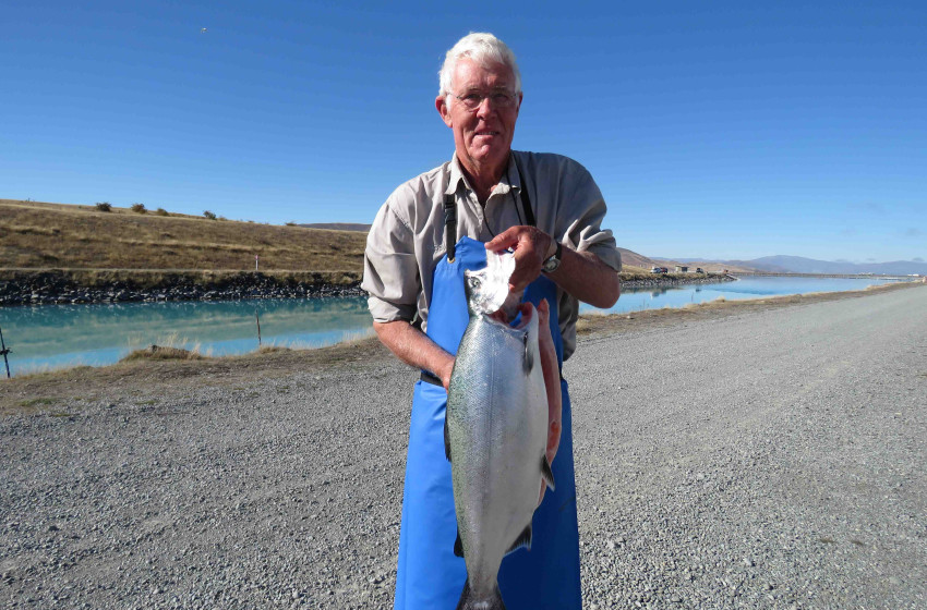 Weekly Fishing Report – Central South Island - 18-04-19