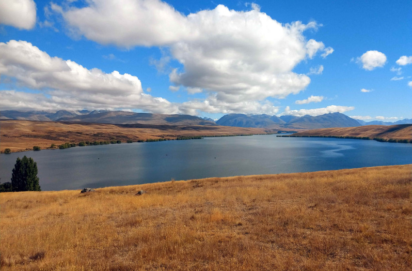 Weekly Fishing Report - Central South Island 18 Feb 2021