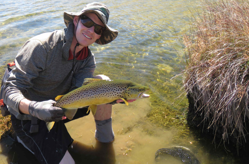 Weekly Fishing Report – Central South Island - 21-02-19