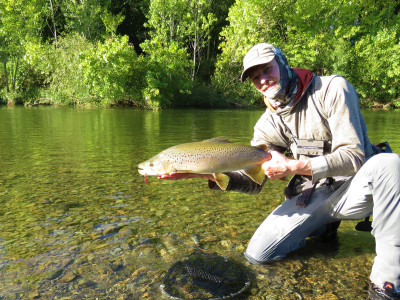 WFR2122.50 A big brown trout caught on a squirmy worm fly when river flows were triple normal summer flows Credit Rhys Adams