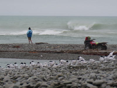 WFR22.57 A lone angler targets salmon at the Waitaki River mouth 23 03 2022 Credit R Adams