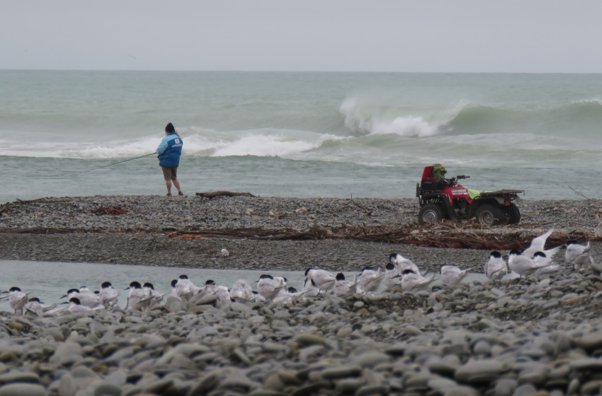 Weekly Fishing Report — Central South Island — 24/03/2022