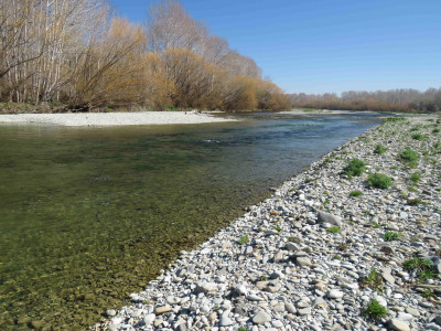 WFR1920.01The Opihi River looking enticing to fish a few days before the opening of the new season