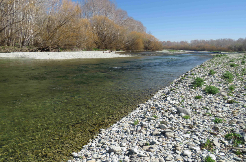 Weekly Fishing Report – Central South Island- 26-09-19