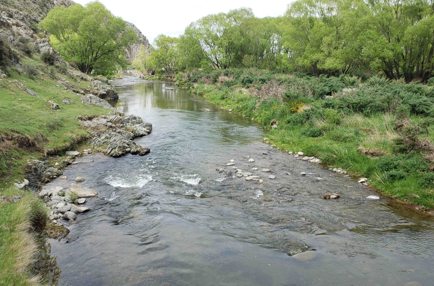 Weekly Fishing Report – Central South Island 28-10-2021
