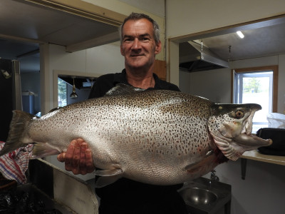 WFR2021.13 The 44.3 pound brown trout held up by staff of the Razza in Twizel Credit Sean Colenso via the Twizel Community Facebook page