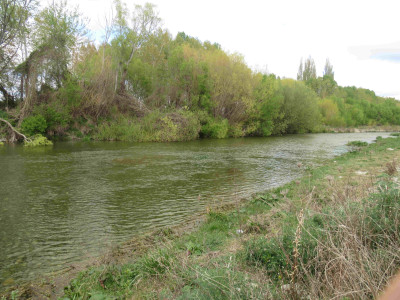 WFR2021.04 The Opihi River looking good the day before opening 