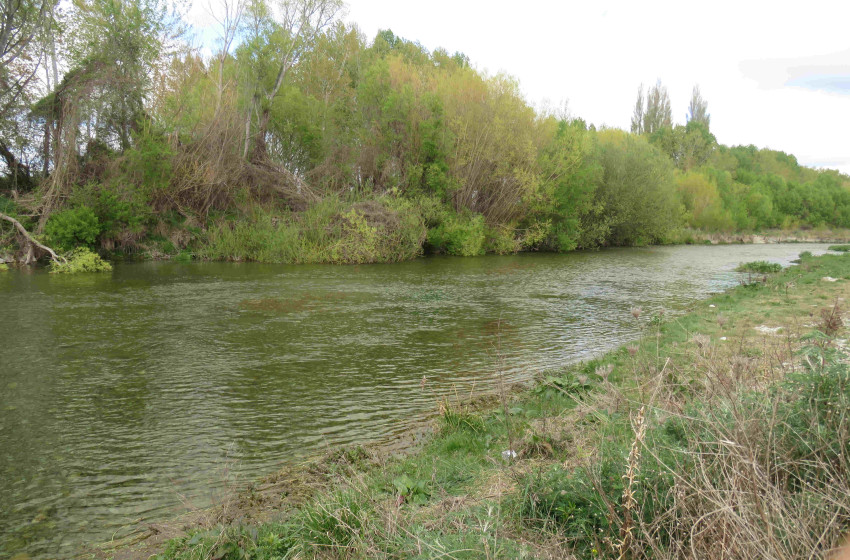 Weekly Fishing Report – Central South Island -30-09-20