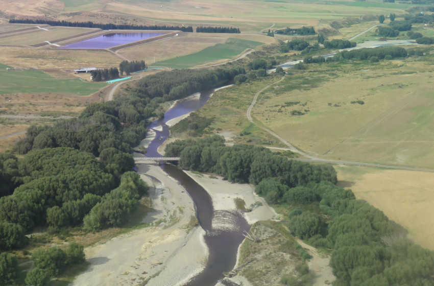Weekly Fishing Report – Central South Island- 31-01-19