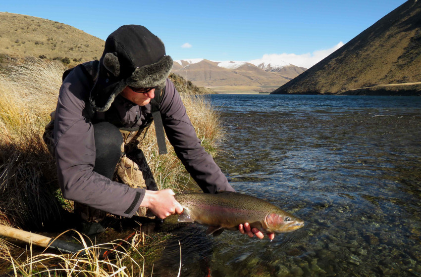 Weekly Fishing Report – Central South Island Region – 02/11/18
