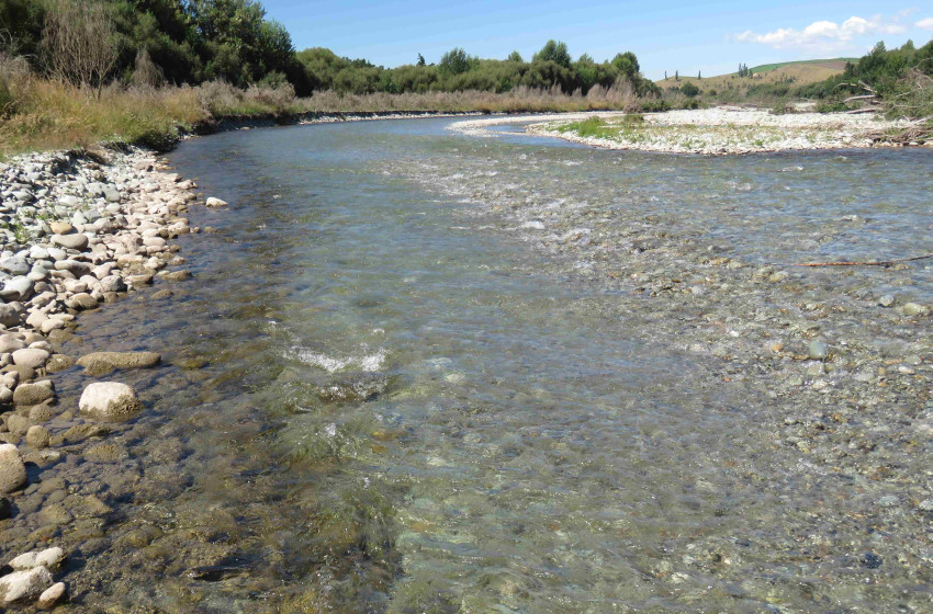 Weekly Fishing Report – Central South Island Region – 19/01/18