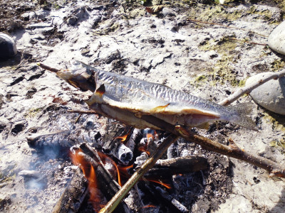 Freshly caught Tekapo trout char grilled nothing better
