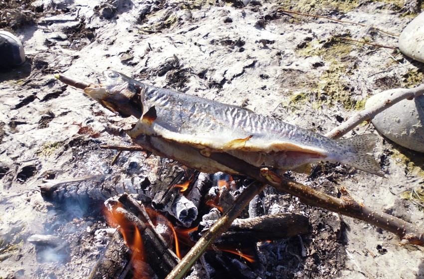 Weekly Fishing Report – Central South Island Region – 20/04/18