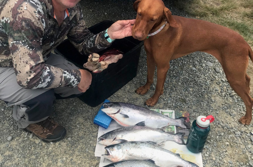 Weekly Fishing Report – Central South Island Region – 27/12/18