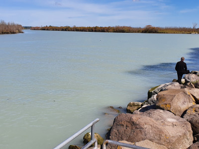 View upstream from the wheelchair fishing platofrm at McIntoshes Rocks on the lower Waimakariri River