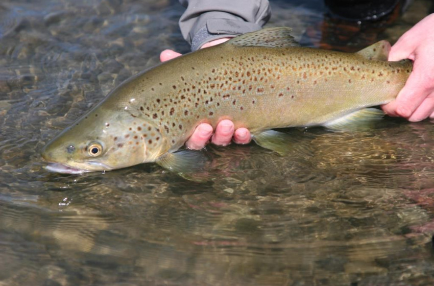 Weekly Fishing Report - September 21