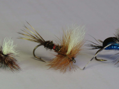 WFR2223 HE6 from left to right parachute Adams Royal Wulff and blow fly Photo by Rhys Adams copy