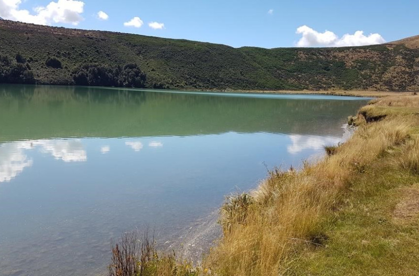 Weekly Fishing report for the North Canterbury Region Friday 9th February 2018