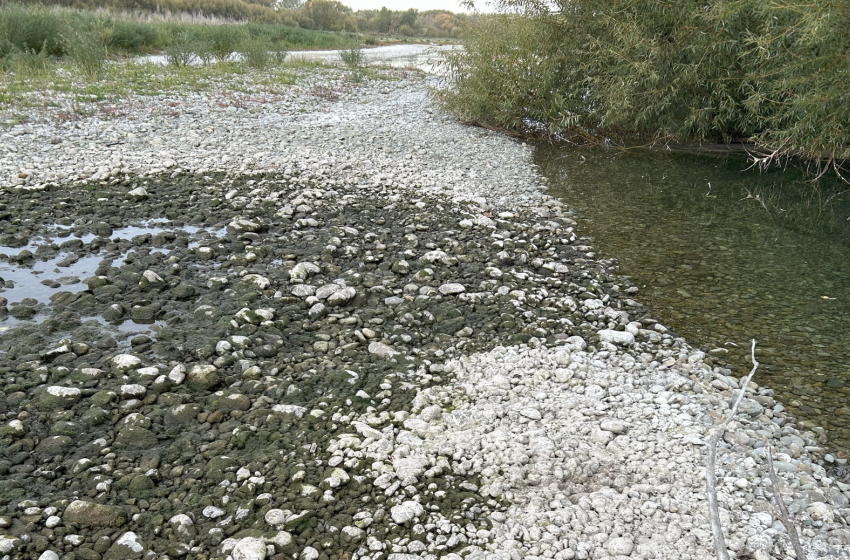  Weekly fishing report for Central South Island and North Canterbury 11 April 2024