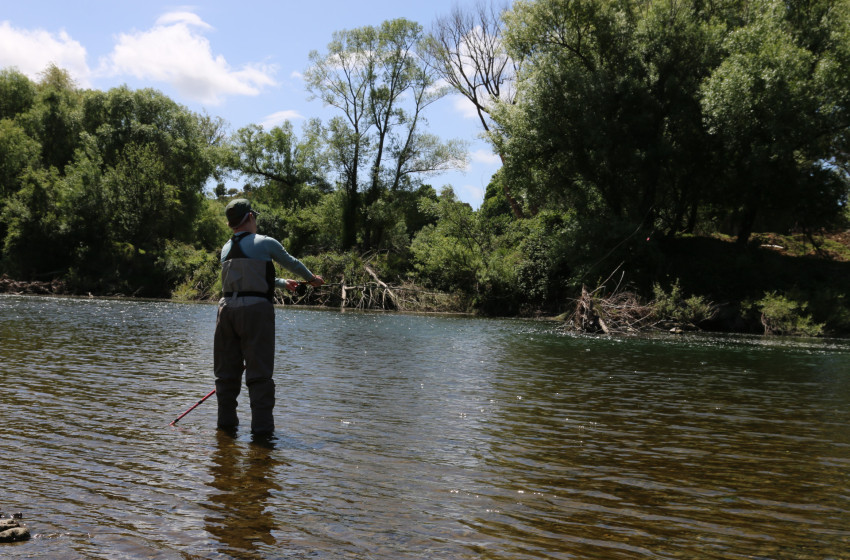 Wellington Weekly Fishing Report - 10 November 2022